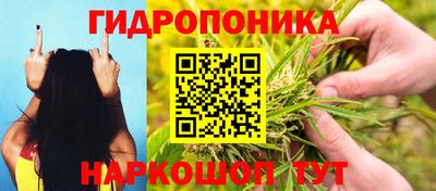 apvp Пыть-Ях