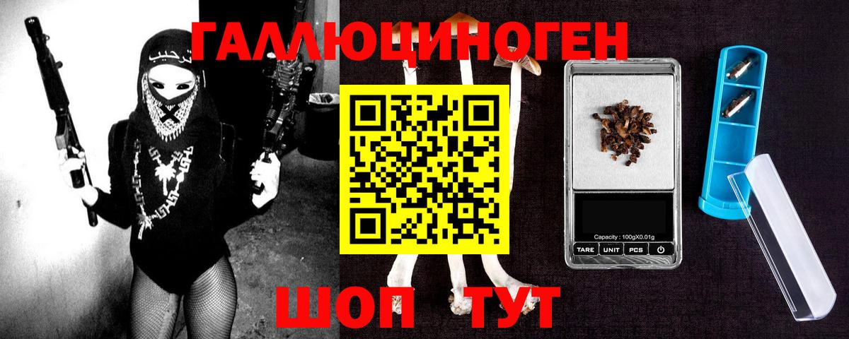 Галлюциногенные грибы Psilocybine cubensis Сокол