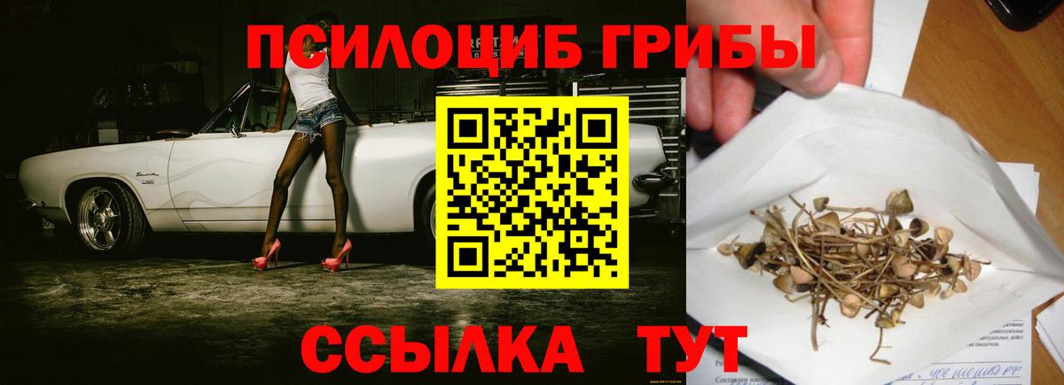 Сокол  Псилоцибиновые грибы ЛСД  наркота  Вход с VPN  Галлюциногенные грибы MAGIC MUSHROOMS 